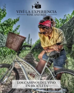Bike tour Maipu