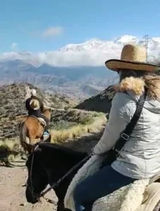 Cabalgata Potrerillos