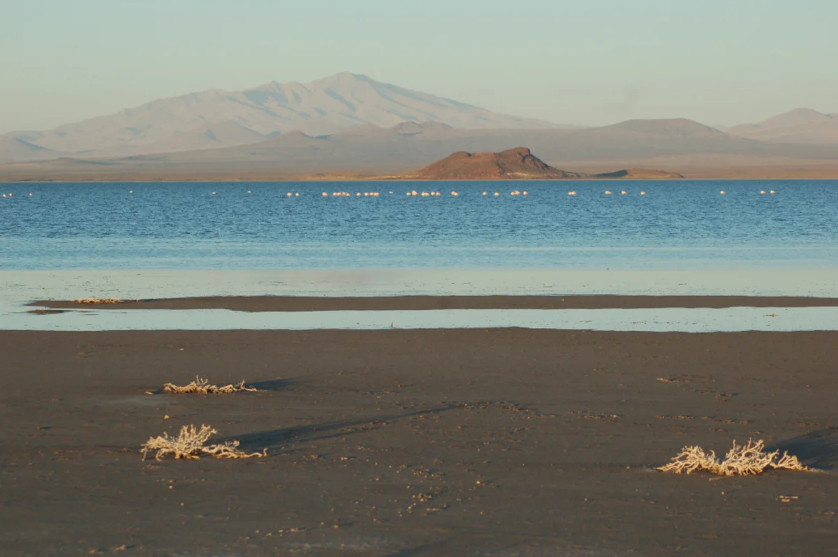 Laguna de Llancanelo